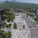 정글디자인