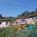 경희네민박 이미지