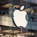 애플apple 이미지