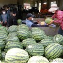 신엄농산물 직거래장터 이미지