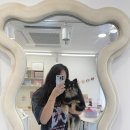 멍그레츄 이미지