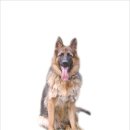 박사농장 이미지