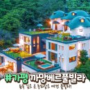 댕댕이풀빌라 이미지