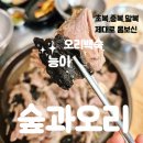 GS25성서중앙점 | 대구 달서구 성서 맛집 여름 보양식 능이 오리백숙으로 몸보신한 후기 숲과오리 맛슐랭 가이