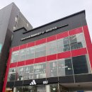 레이디마켓 | [압구정] 골프존 압구정점 시타 후 여성 입문용 아이언 세트 구매, 브릿지스톤 비레이디 사용 후기