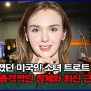 전몰장병 기념일 Memorial Day 이미지