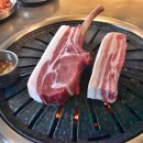 돈제주 이미지