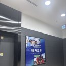 롯데마트 제타플렉스점 | 잠실 데카트론 롯데마트 제타플렉스점 방문 후기