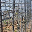 세형농장 이미지