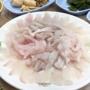 속초 외옹치항 자연산 활어회 대신호횟집 (활어 자연산 모둠 후기)