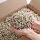 푸릇푸릇 이미지