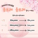 티지오미용실 네이버블로그