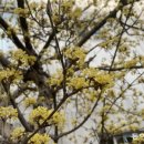 2024 건강근력 스트레칭 이미지