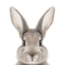 아지트(Hide out) 이미지