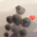 김선생보청기 이미지