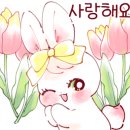 완도횟집 - 보령시 | 완도횟집