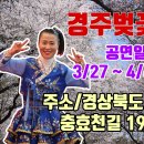 청이품바 경주벗꽃축제 공연일정==＞(7일 공연연기) 이미지