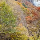 근해농장 이미지