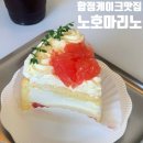 합정 케이크맛집 노호마리노 디저트 카페 솔직 후기 (내돈내산)