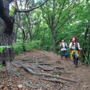 정상보습학원 이미지