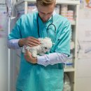 리버동물의료센터 이미지