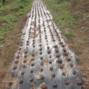 동강농장 이미지