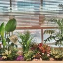 마음정원정신건강의학과의원 이미지