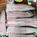 명가정통민물장어 이미지