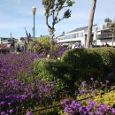 짱구자동차 이미지