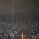 올림픽교차로 고가교 아래 | 도쿄여행 DAY1 시부야스카이 예약 찾아가는법 루프탑 볼거리 (스카이엣지 포토존, 스테이지, 레이저쇼)