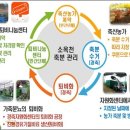 연합퇴비 이미지