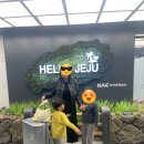 예서농장 | 제주도 4박5일 가족여행코스 협재해수욕장에서 오설록까지 일정 총정리