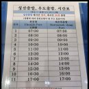 제주다올투어
