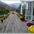 우가돈가 이미지