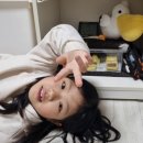 리얼게코 | [전주] 좀비렙타일에서 크레스티드게코 도마뱀 분양 리얼 후기