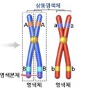 상주은모래비치2 이미지