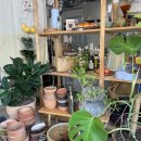 버드내노인복지관 | 수원 세류동 맛집 추천 ｜감성식당 '재료들' 후기