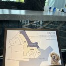 탑스텐 빌라드애월 | 제주도숙소추천 : 탑스텐 빌라드 애월 컴포트스위트 가격 수영장 후기