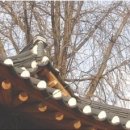 병화민박 이미지