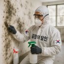 곰팡이사무소