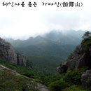 대가야센터-8 이미지