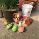 220-운정3-220 | 2주째 바베큐하는중 #220