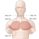 타워짐 피트니스 헬스 이미지