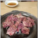 이집그집