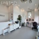 두리동물병원 | 서초구 반포동 동물병원 두리동물병원 위치 오는길 후기