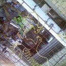 아지농장 이미지