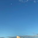 아마존인터넷PC방 | 호주 vs 한국, 5년 살아본 사람들의 리얼 후기!