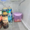 833 | 김장 김치보관 숨쉬는 김치통 데비마이어 833 퍼플 색배임 냄새 없는 후기