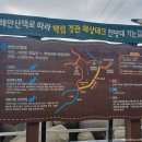 강원도 고성 가볼만한 곳 백섬해상전망대&amp;거진항 활어난전 후기