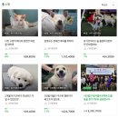 팅커벨에 요긴하게 도움이 되고 있는 네이버 해피빈 모금 현황입니다. 이미지